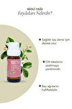 PANLIFE NİOLİ YAĞI 10 ML   %100 Saf Analiz Sertifikalı ( Karışımsız )